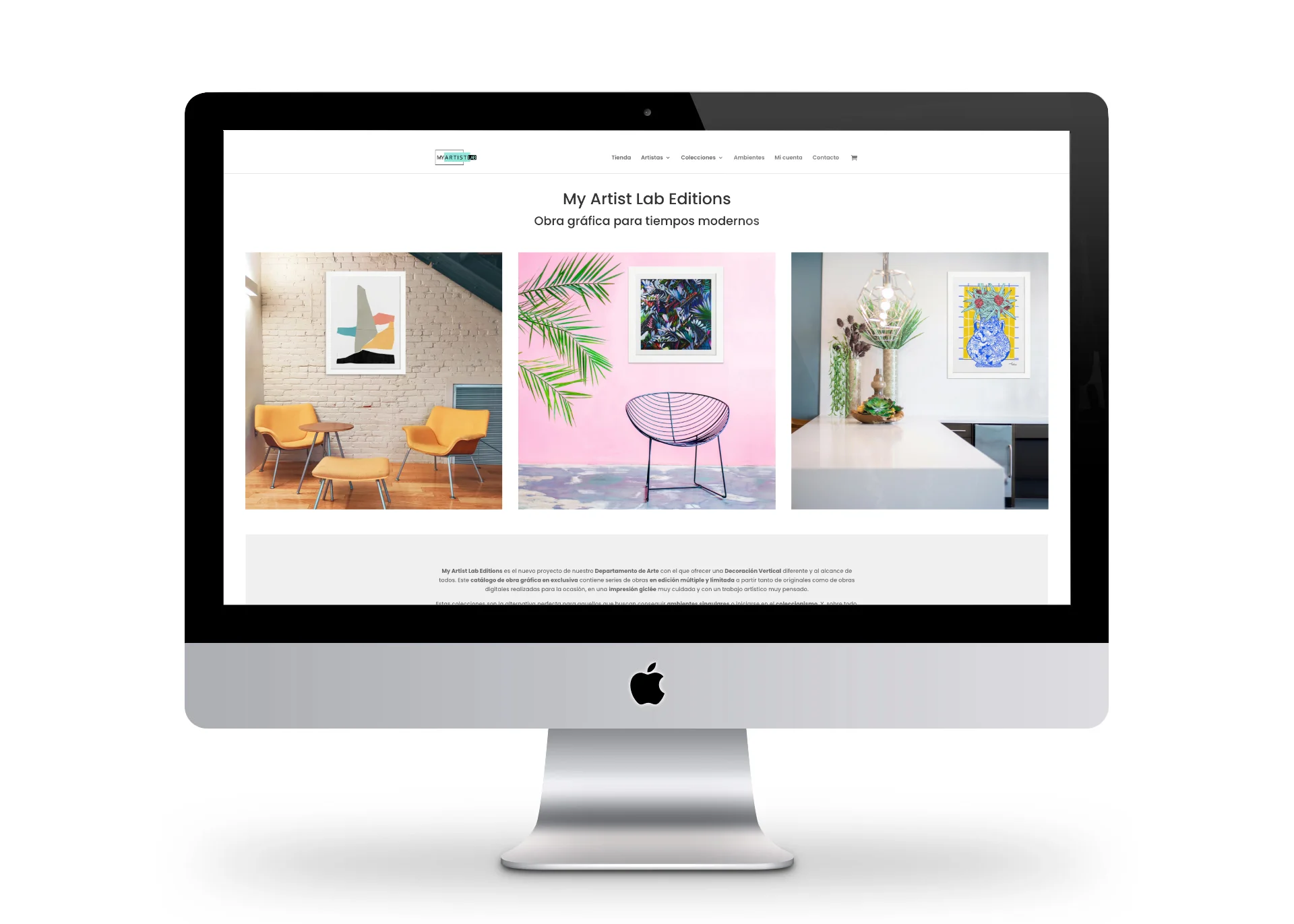 Portada-My-Artist-Lab-Editions-The-Superway-Webs Tienda online de prints y arte